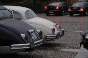 Jaguar Club Italia 2010 (53/161)